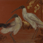 Gaston SUISSE (1896-1988) - Ibis sacré du Nil à tête noire.